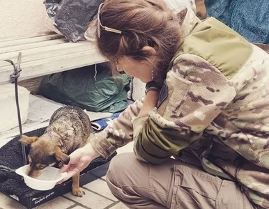 Miniatura: „To Żuża. Z Mariupola. Ma starte opuszki...