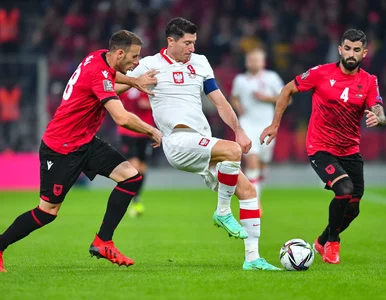 Miniatura: Kolejny kraj bojkotuje Rosjan na arenach...