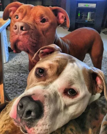 Roman i Spanky 