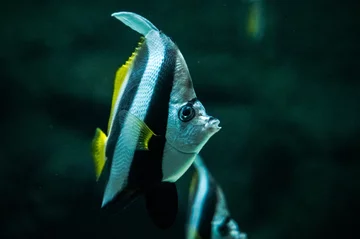 Oceanarium w łódzkim zoo 