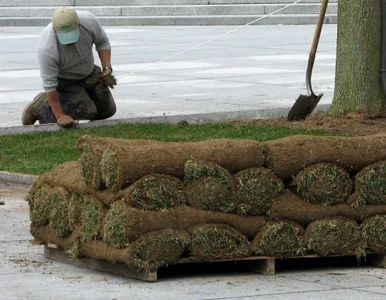 Miniatura: Sejm ułatwił... deptanie trawników