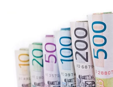 Miniatura: Jak ustrzec się piramidy finansowej?