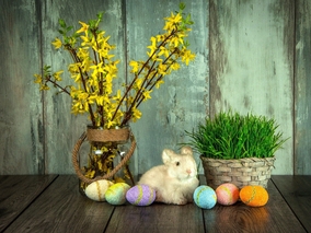Jeśli chcesz mieć naturalną dekorację na&nbsp;Wielkanoc,&nbsp;wysiej...