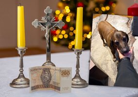 Miniatura: To nie była zwykła kolęda. Takiego...