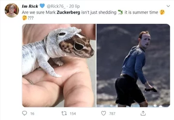 Mark Zuckerberg jako surfer i mem 