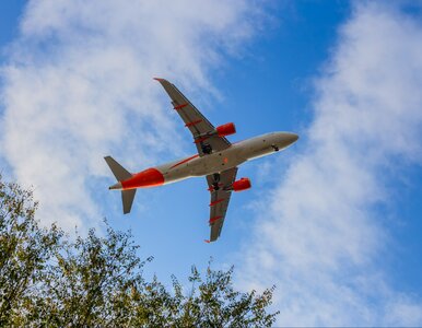 Miniatura: Problematyczny lot z Paryża. Przez mgłę w...