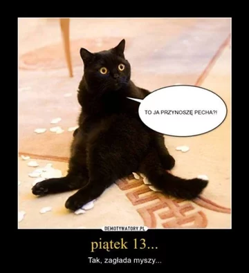 Memy z okazji piątku 13-stego 