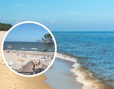 Miniatura: Wiatr nie odstraszył turystów. To pokazała...