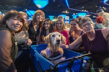 Chi Chi na gali American Humane Hero Dog Awards 