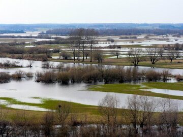 Rozlana Narew w&nbsp;rejonie Strękowej G&oacute;ry