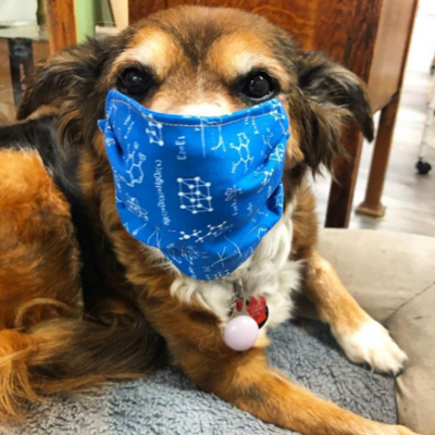 Miniatura: Niebezpieczny trend na Instagramie....