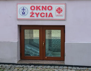 Miniatura: Niemowlę we wrocławskim oknie życia....