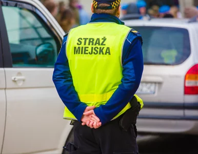 Miniatura: Głodna i przerażona 8-latka błąkała się po...