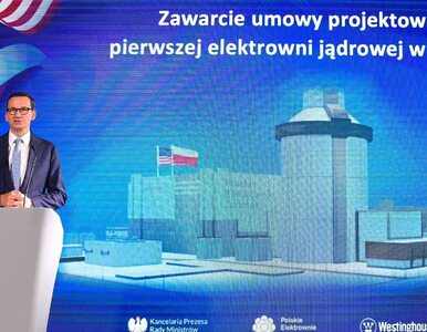 Miniatura: Polska elektrownia jądrowa z kamieniem...