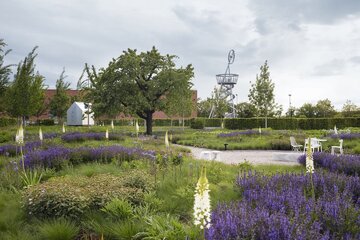 Naturalistyczny ogród Pieta Oudolfa na Vitra Campus w Weil am Rhein – przykład harmonii między dzikością a precyzyjnym projektowaniem 