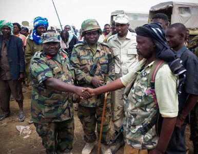 Miniatura: Kenia i Somalia atakują ostatni bastion...