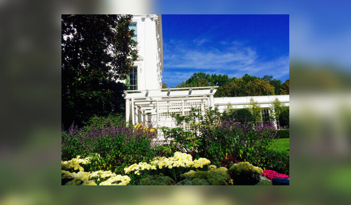 Miniatura: Dni otwarte w ogrodach Białego Domu