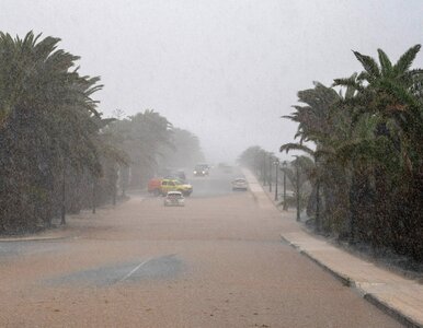 Miniatura: Wniosek o stan klęski żywiołowej na...