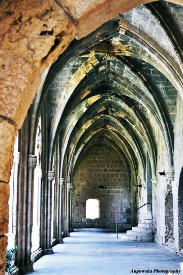 Bellapais Abbey, Kyrenia (fot. Sara Angowska)