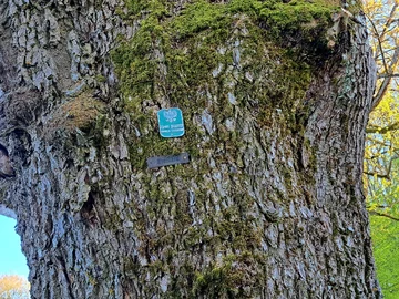 Park w Nakomiadach na Mazurach wiosną 