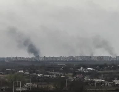 Miniatura: Wyciekły tajne dokumenty dotyczące...