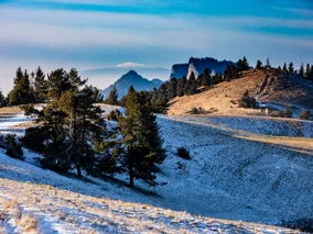 Miniatura: Ekscytująca nowość w&nbsp;uzdrowisku....