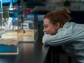 Miniatura: Nowy film Prime Video w dobę numerem...