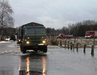 Miniatura: Armia kupi ciężarówki za 3 mld złotych