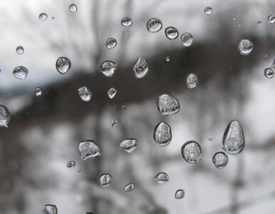 Miniatura: Pogoda na święta: Deszczowa Wigilia, opady...