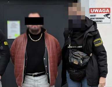 Miniatura: Spektakularna akcja policji w Puławach....