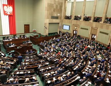Miniatura: Sejm nie odrzucił kolejnej ustawy o...