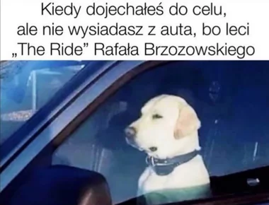 Mem po występie Rafała Brzozowskiego w półfinałach Eurowizji