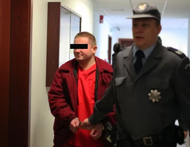 Miniatura: Afera Amber Gold: Marcin P. zostaje w...