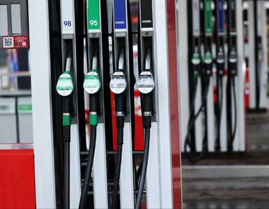 Miniatura: Polacy domagają się reakcji rządu. Chodzi...