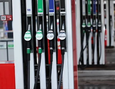 Miniatura: Polacy domagają się reakcji rządu. Chodzi...