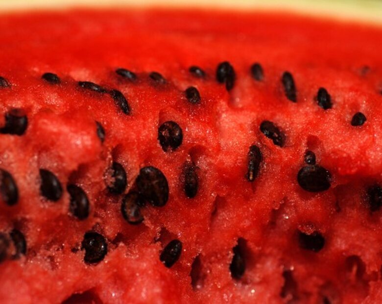 Miniatura: Melon nazwano na cześć prezydenta "Opiekunem"
