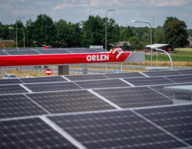 Miniatura: ORLEN: czysta energia prosto ze słońca