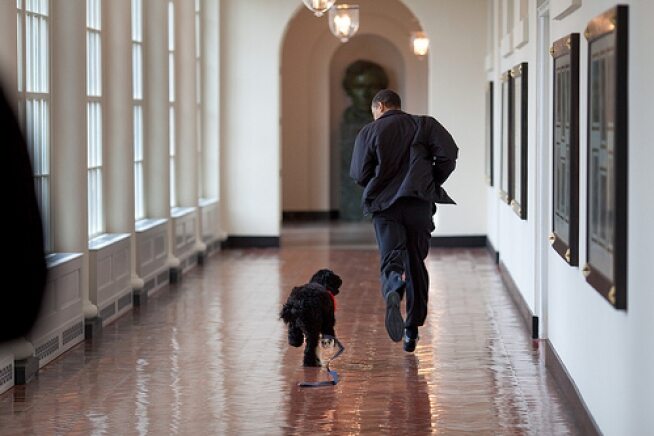 Obama biega po Białym Domu z psem Bo