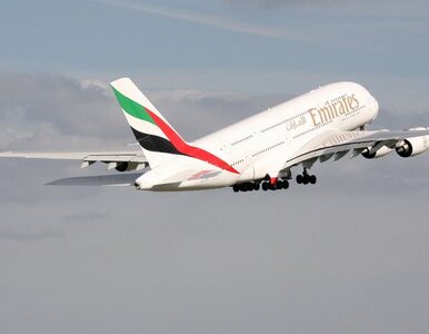 Miniatura: Emirates rozszerzają siatkę A380 o Frankfurt