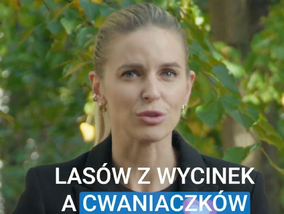 Posłanka PO o&nbsp;„przykrych niespodziankach w&nbsp;lesie”. Zapowiada...