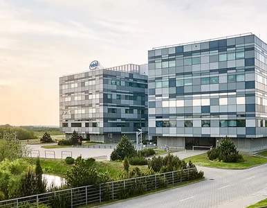 Miniatura: W tej branży Polska jest prawdziwym...