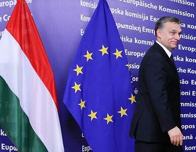 Miniatura: MFW apeluje do Węgier: musicie zaostrzyć...