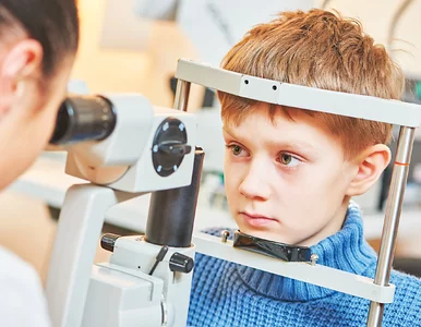 Miniatura: Ważna perspektywa