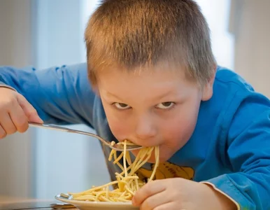 Miniatura: Program „Posiłek w szkole i w domu”....