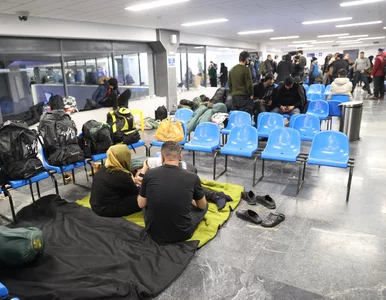 Miniatura: Samolot nie przyleciał po migrantów, bo UE...