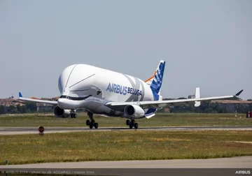 Beluga XL 