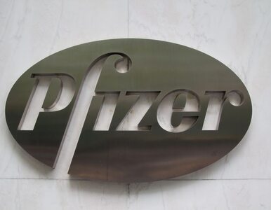 Miniatura: Pfizer sprzedaje Nestle linię produktów...