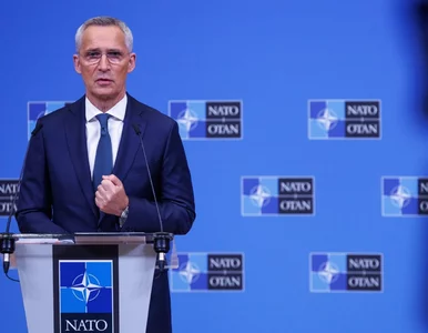 Miniatura: Ukraina na drodze do NATO. Stoltenberg...