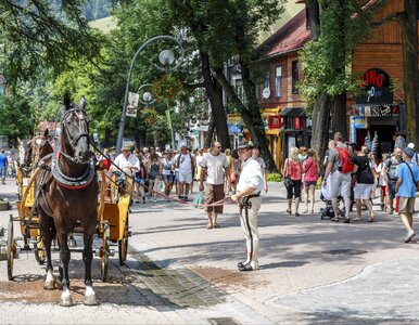Miniatura: Zakopane odetchnęło z ulgą. Zapadła długo...