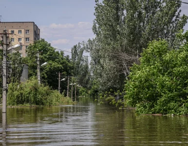 Miniatura: Ukraińcy widzieli topiących się Rosjan....